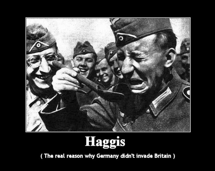 haggis